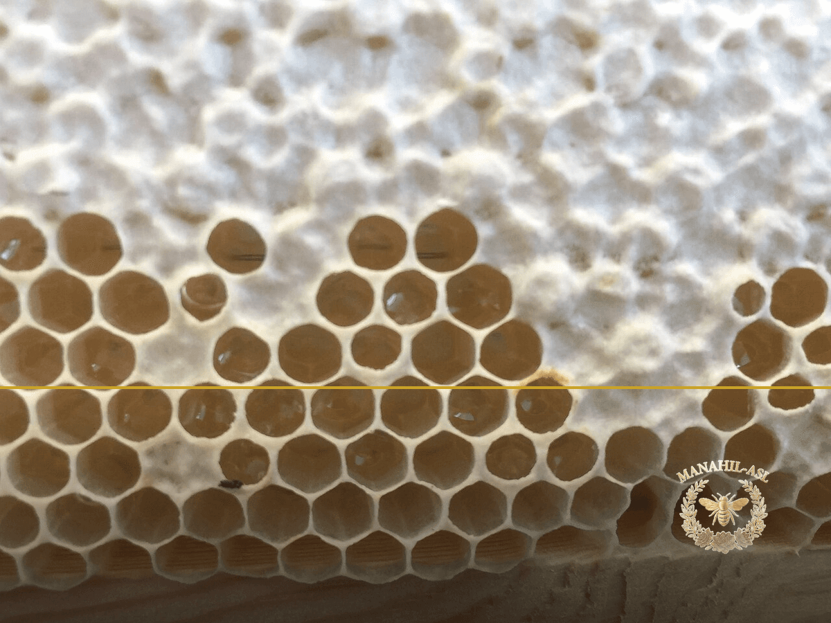 How to tell real honey from fake: a practical, myth-free guide